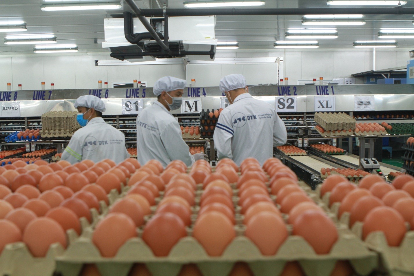 Exportation des produits de l élevage encore très modeste